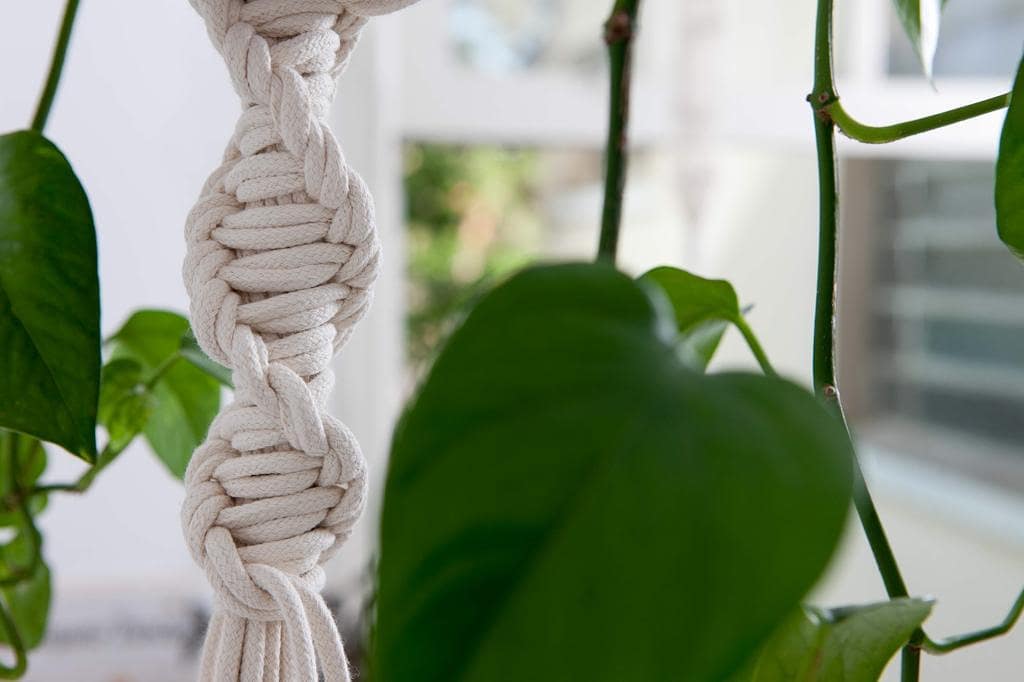 macramé, artesanato, pendentes, plantas